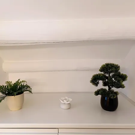 Apartamento Diatomea *